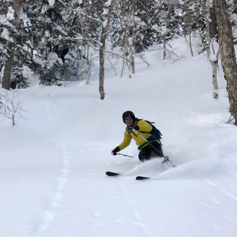 Skiing powder in Japan with Synnott Mountain Guides.